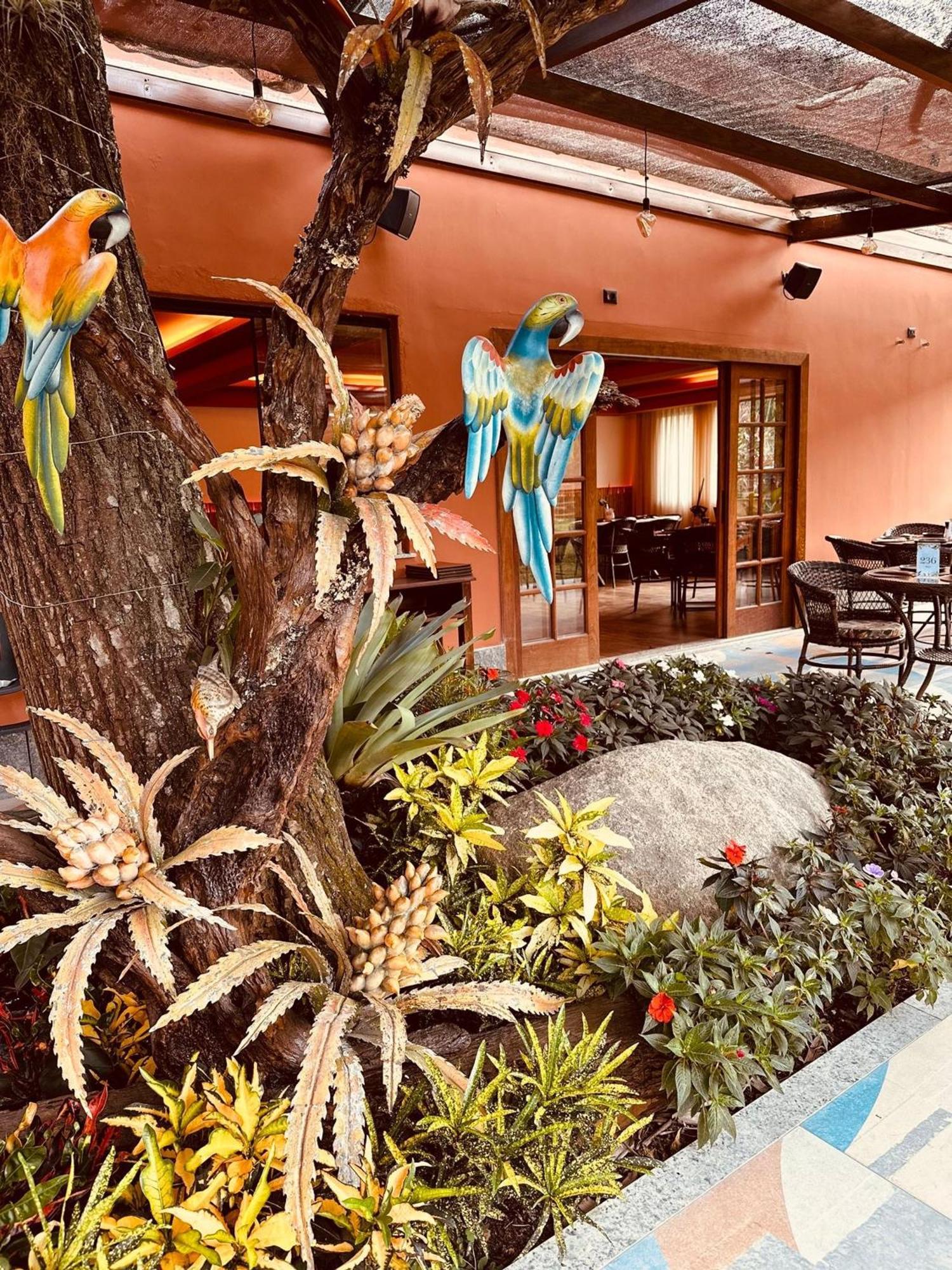 Chacara Comary Hotel Teresópolis Kültér fotó